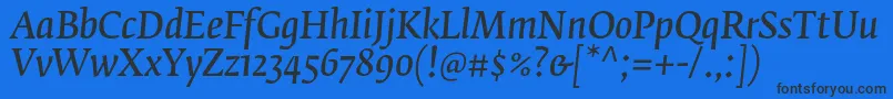 FedraserifbproNormalitalic Font – Black Fonts on Blue Background