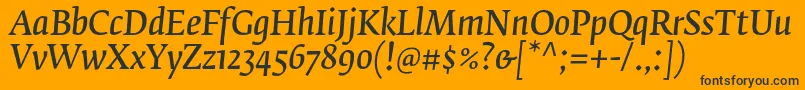 FedraserifbproNormalitalic Font – Black Fonts on Orange Background