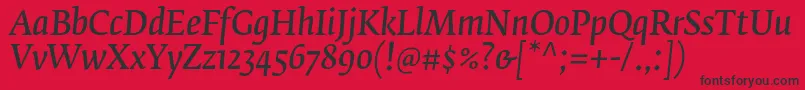 FedraserifbproNormalitalic Font – Black Fonts on Red Background