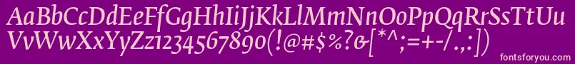 FedraserifbproNormalitalic Font – Pink Fonts on Purple Background