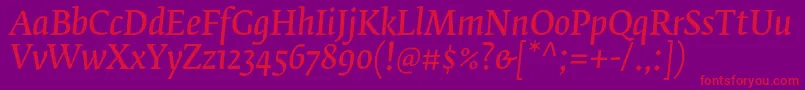 FedraserifbproNormalitalic Font – Red Fonts on Purple Background