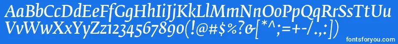 フォントFedraserifbproNormalitalic – 青い背景に白い文字