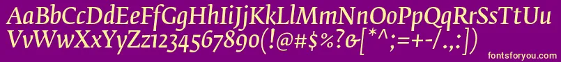 FedraserifbproNormalitalic Font – Yellow Fonts on Purple Background