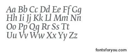 FedraserifbproNormalitalic Font