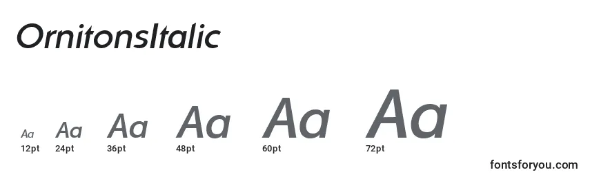 Размеры шрифта OrnitonsItalic