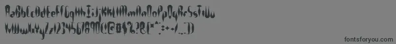 フォントQuillexs – 黒い文字の灰色の背景