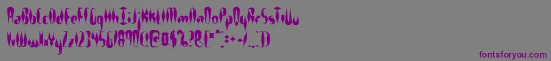 Quillexs-fontti – violetit fontit harmaalla taustalla