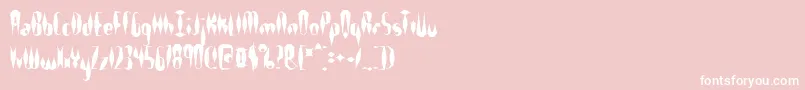 フォントQuillexs – ピンクの背景に白い文字