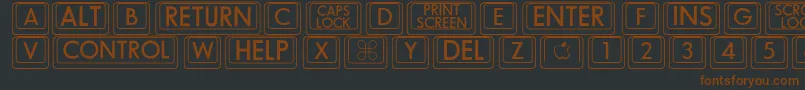 BkcapRegular Font – Brown Fonts on Black Background
