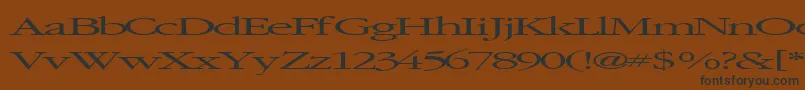 Czcionka Elvissaxhorn45RegularTtext – czarne czcionki na brązowym tle