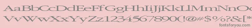 Elvissaxhorn45RegularTtext Font – Gray Fonts on Pink Background