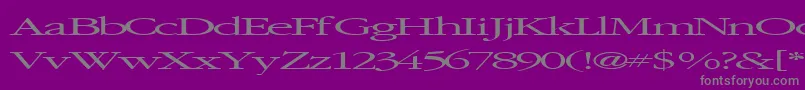 Подробнее о шрифте Elvissaxhorn45RegularTtext Шрифт Elvissaxhorn45RegularTtext – серые шрифты на фиолетовом фоне