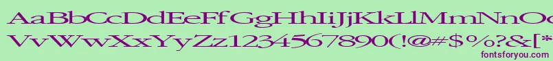 Elvissaxhorn45RegularTtext Font – Purple Fonts on Green Background