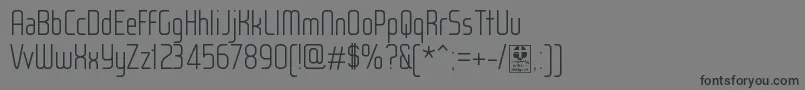 WoxModelistLightDemo Font – Black Fonts on Gray Background