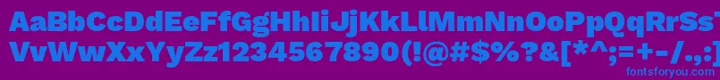 WorksansBlack Font – Blue Fonts on Purple Background