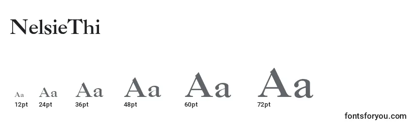 NelsieThin Font Sizes