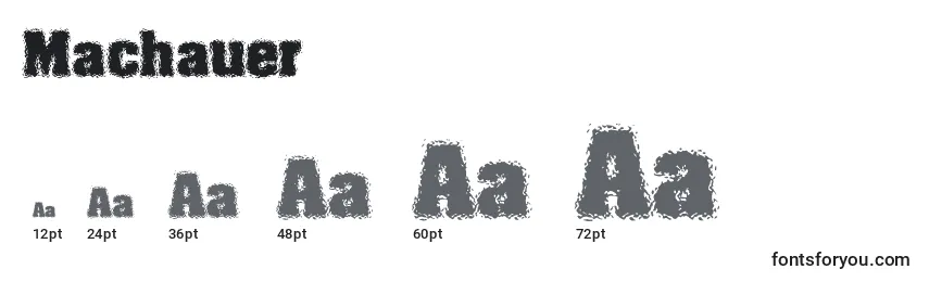 Machauer Font Sizes