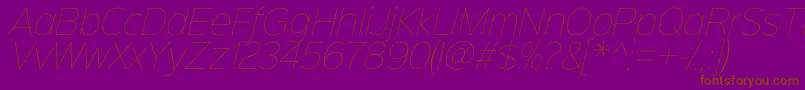 Sinkinsans100thinitalic Font – Brown Fonts on Purple Background
