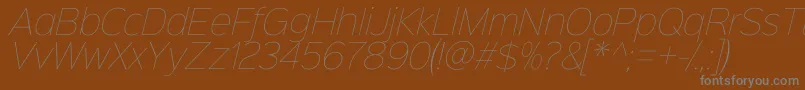 Czcionka Sinkinsans100thinitalic – szare czcionki na brązowym tle