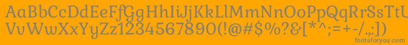 GabrielaRegular Font – Gray Fonts on Orange Background