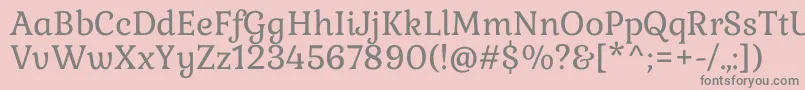 GabrielaRegular Font – Gray Fonts on Pink Background