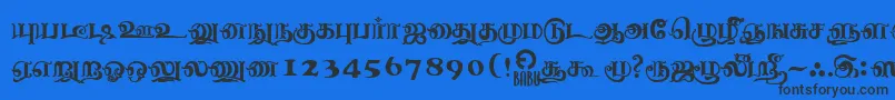 NagananthiniRegular-fontti – mustat fontit sinisellä taustalla