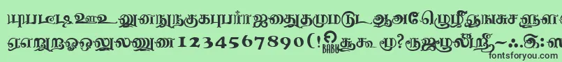 フォントNagananthiniRegular – 緑の背景に黒い文字