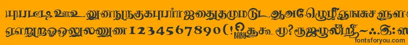 Шрифт NagananthiniRegular – чёрные шрифты на оранжевом фоне