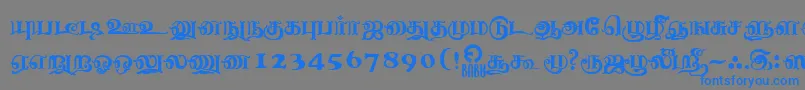 フォントNagananthiniRegular – 灰色の背景に青い文字