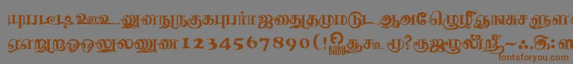 NagananthiniRegular Font – Brown Fonts on Gray Background