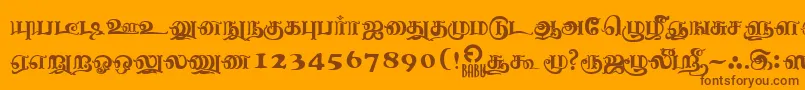 NagananthiniRegular Font – Brown Fonts on Orange Background