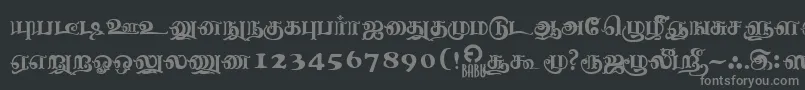 NagananthiniRegular Font – Gray Fonts on Black Background