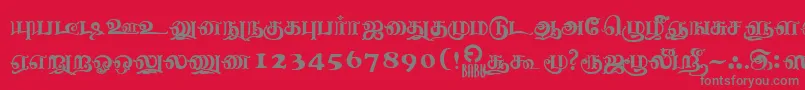 NagananthiniRegular Font – Gray Fonts on Red Background