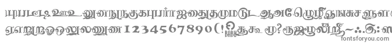 NagananthiniRegular Font – Gray Fonts on White Background