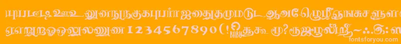 Шрифт NagananthiniRegular – розовые шрифты на оранжевом фоне