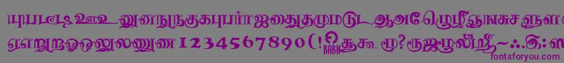 NagananthiniRegular Font – Purple Fonts on Gray Background