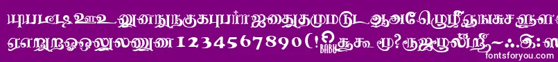 NagananthiniRegular Font – White Fonts on Purple Background