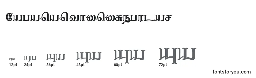 NagananthiniRegular Font Sizes