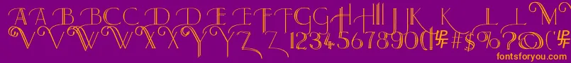 Larkin Font – Orange Fonts on Purple Background