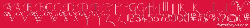 Larkin Font – Pink Fonts on Red Background