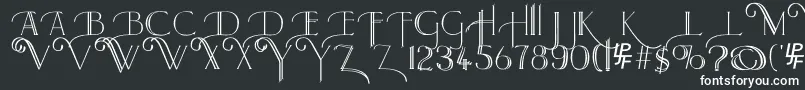 Larkin Font – White Fonts