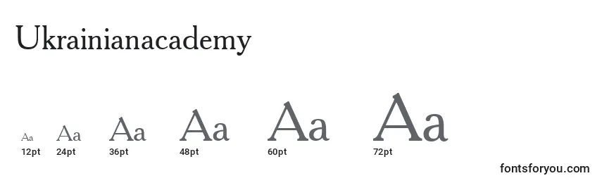 Ukrainianacademy Font Sizes