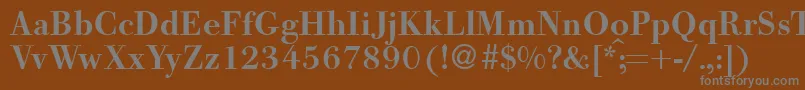 フォントBodooldmeddbNormal – 茶色の背景に灰色の文字