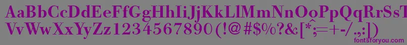 BodooldmeddbNormal-Schriftart – Violette Schriften auf grauem Hintergrund