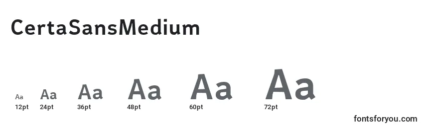 Размеры шрифта CertaSansMedium (42403)