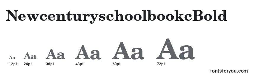 NewcenturyschoolbookcBold-fontin koot