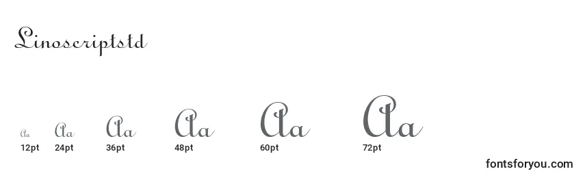 Размеры шрифта Linoscriptstd