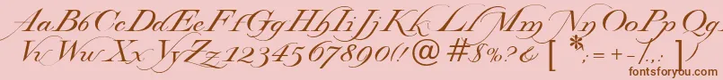 Lysandria Font – Brown Fonts on Pink Background