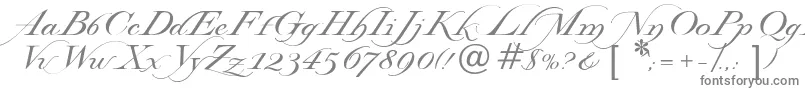 Lysandria-Schriftart – Graue Schriften auf weißem Hintergrund
