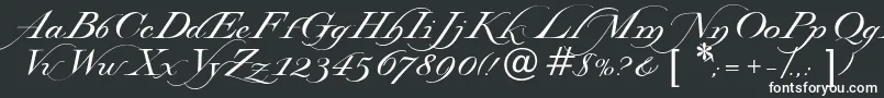 Шрифт Lysandria – белые шрифты
